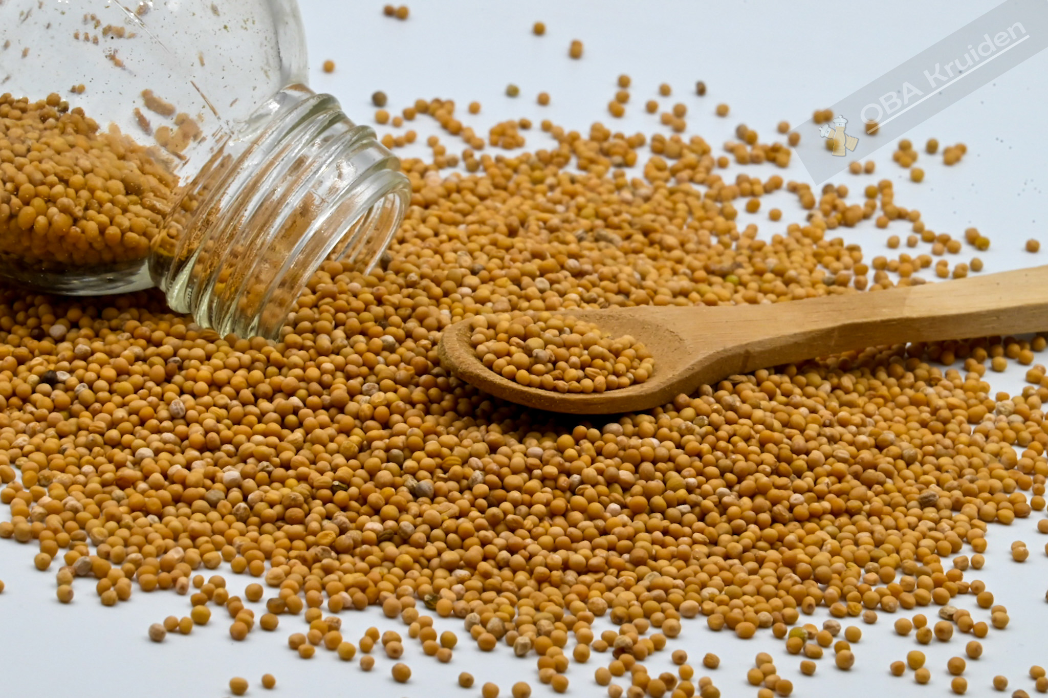 Mosterd zaad geel bestellen Mosterd zaad geel bestellen