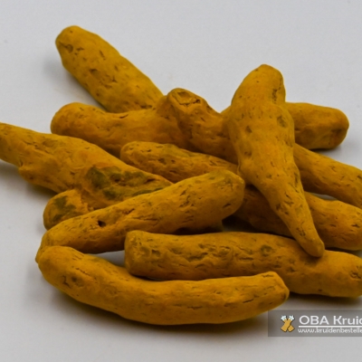 Kurkuma (Curcuma) wortel (Koenjit)